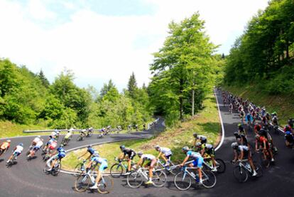 El pelotón, durante la decimoquinta etapa del Giro.