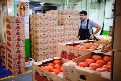 Aranceles tomate mexicano