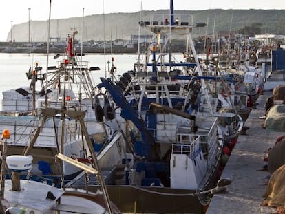 Barcos varados en el puerto de Barbate (Cádiz)