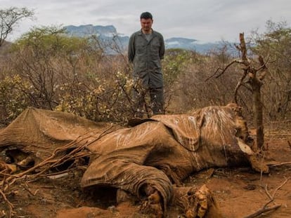 Yao Ming junto a los restos de un elefante en la reserva de Samburu, el 16 de agosto, en Kenia.