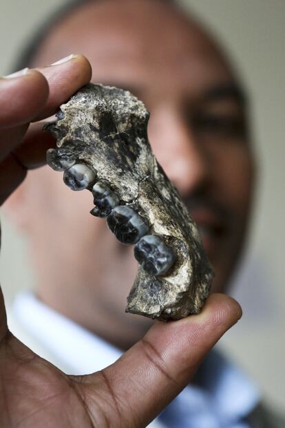 Tiene 2,8 millones de años y es el resto fósil humano más antiguo encontrado hasta la fecha.