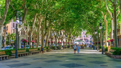 El ambiente del paseo del Born, en el centro histórico de Palma (Mallorca).