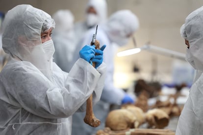 El equipo de forenses analiza restos recuperados en las criptas del Valle de Cuelgamuros.