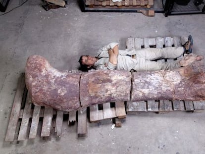 O paleontólogo Pablo Puerta, ao lado do fêmur de dinossauro.