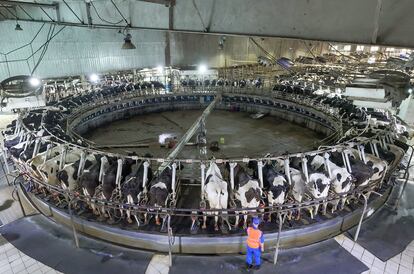 Una granja de vacas con ordeño automático