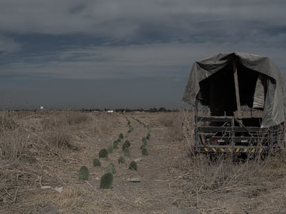 Hectáreas aún con sembradíos de nopales, al lado la construcción de nueva autopista , 17 de Febrero del 2021. La familia Martínez se encuentra en disputa por su terreno "El Pionero", restaurante ubicado en la construcción del acceso al futuro aeropuerto Felipe Ángeles.