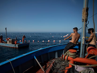 Uno de los marineros agarra un cabo desde el barco de la sacada de la almadraba de Zahara, instantes previos a la primera levantá.