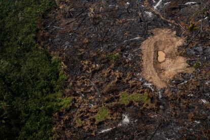 Mais uma área devastada pelos incêndios das últimas semanas no Acre.