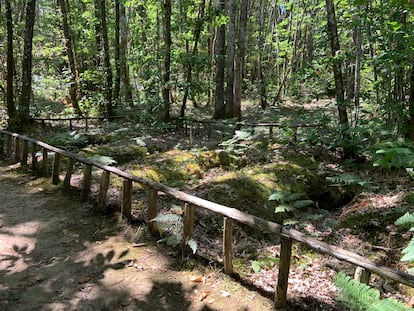 Four graves of people executed by the French Resistance during World War II, in the Maquis du Durestal forest near Cendrieux (southwestern France).