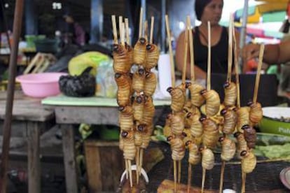 Brochetas de suri.