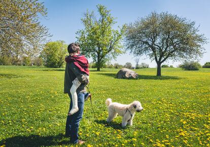 Side view of father carrying son with broken leg while standing by dog on grassy field at park