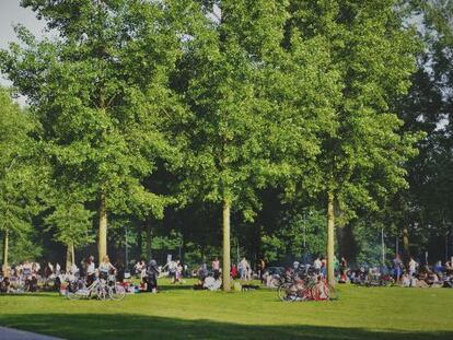 D&iacute;a soleado en el bosque de Kralingse, uno de los parques m&aacute;s populares de R&oacute;terdam. 