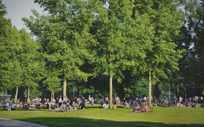 D&iacute;a soleado en el bosque de Kralingse, uno de los parques m&aacute;s populares de R&oacute;terdam. 