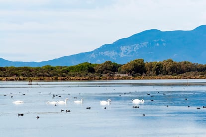 El paisaje del lago Burano, en la Maremma (Italia).