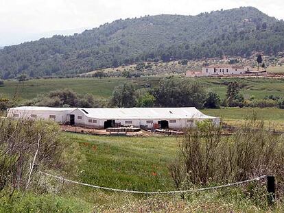 Finca de Ardales donde está previsto el complejo inmobiliarios.