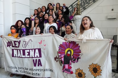 Las activistas María Elena Ríos y Elisa Xolalpa celebran la aprobación de la Ley Malena en el Congreso de la Ciudad de México, el 8 de febrero.
