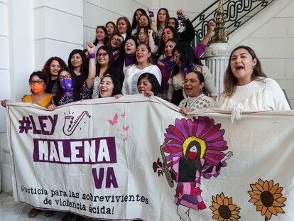 Las activistas María Elena Ríos y Elisa Xolalpa celebran la aprobación de la Ley Malena en el Congreso de la Ciudad de México, el 8 de febrero.