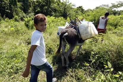Eligio, de 11 años, recoge agua del estanque y la carga en un burro. Es la única forma que tiene de abastecerse.