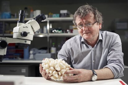 El científico y activista Terry Hughes, en su laboratorio en la Universidad James Cook. 