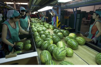 Cooperativa frutícola de El Ejido (Almería)