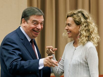 La presidenta del Congreso, Meritxell Batet, con el ministro de Agricultura, Luis Planas, en la reunión de la Comisión Permanente este miércoles.