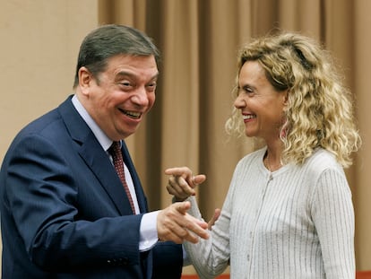 La presidenta del Congreso, Meritxell Batet, con el ministro de Agricultura, Luis Planas, en la reunión de la Comisión Permanente este miércoles.