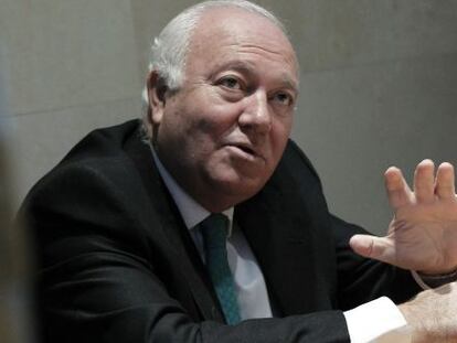 El exministro Miguel &Aacute;ngel Moratinos