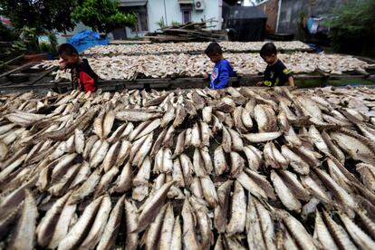 Niños pasan frente a secadero de pescado en Banda Aceh (Indonesia). Según informes de los medios, Indonesia ha caído en recesión por primera vez en 22 años, debido a los efectos de la pandemia de coronavirus. Según la agencia central de estadísticas (BPS), la economía del país se contrajo un 3,49% en el tercer trimestre de 2020.
