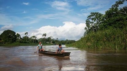 amazonia