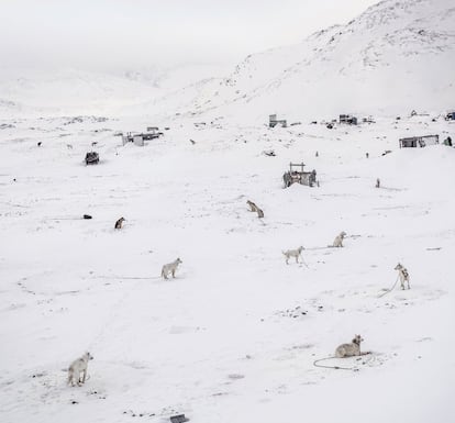 Em Ilulissat restam poucos cães de trenó. No inverno não é recomendado viajar pelo mar congelado: é muito perigoso.