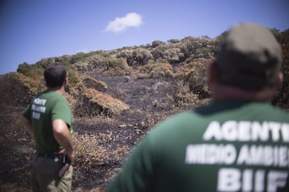 En la provincia de Cádiz la Brigada de Investigación de Incendios Forestales (BIIF), está formada por ocho miembros, 14 de julio de 2016.