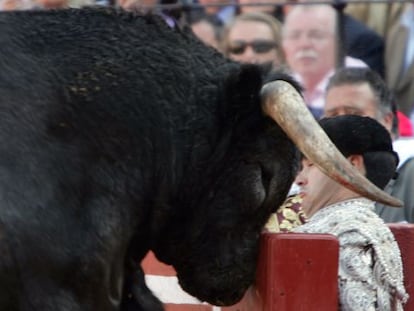 El toro de Miura 'Zapatero' salta la barrera de la plaza de La Maestranza, durante la 16ª corrida de la Feria de Abril, en Sevilla.