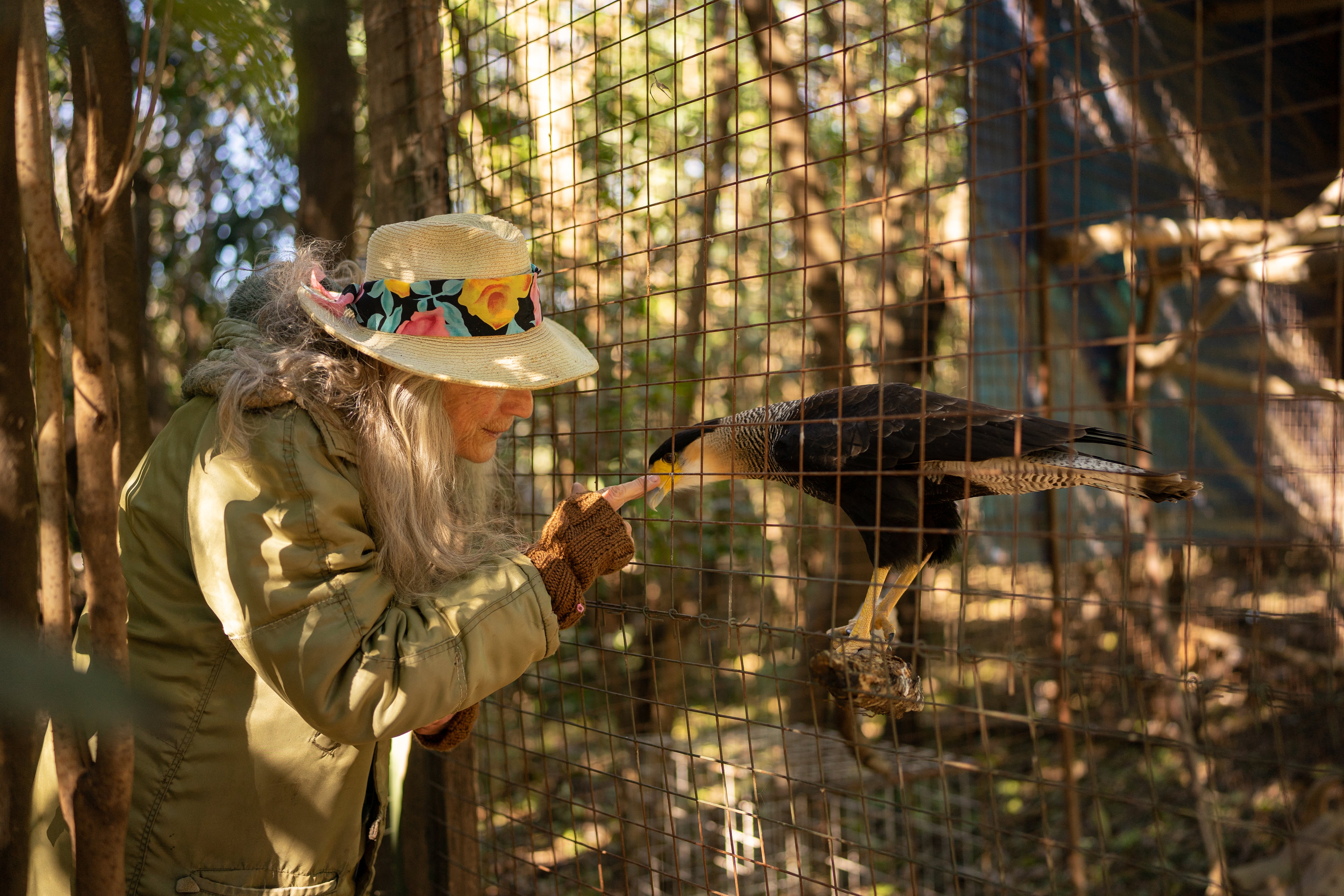 ‘Beba’ Linaro, la argentina que refugió a una decena de animales abandonados por un zoo