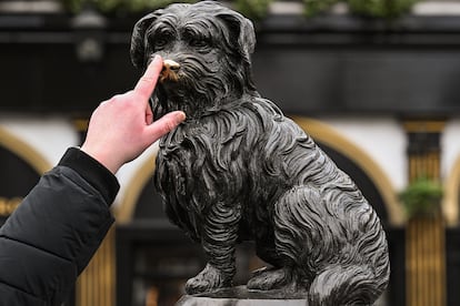 'Bobby' es una estatua de un skye terrier que se encuentra en el cementerio Greyfriars, en Edimburgo.