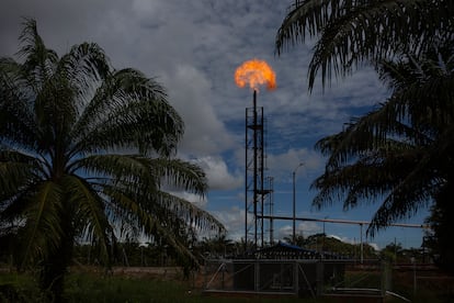 Los pantanos y las aguas del río Magdalena en Barrancabermeja ya sufren deterioro al ser una de las zonas petroleras más importantes de Colombia.