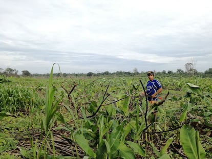 Richester Fasabi, comunero de Santa Clara de Uchunya, en la región amazónica de Ucayali (Perú), durante una inspección de las tierras comunales.