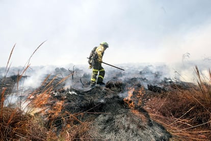 Efectivos del Infoca trabajan en la extinción del incendio forestal declarado en el paraje de la Alhambra, en las inmediaciones del cementerio de San José de Granada.