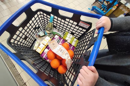 El carrito de la compra de la cliente de un supermercado de Sevilla.