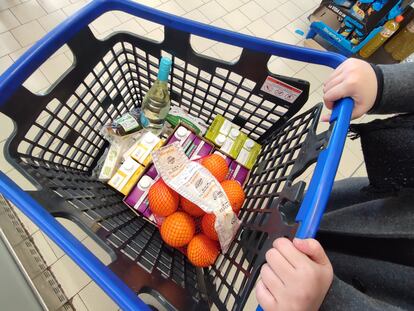 El carrito de la compra de la cliente de un supermercado de Sevilla.