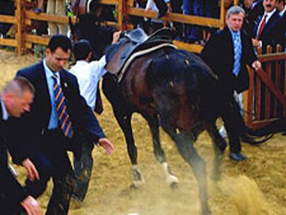 Erdogan se cae del caballo