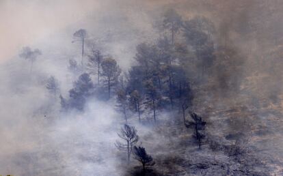 El humo se desplaza por el monte quemado de Pinet, el 7 de agosto.