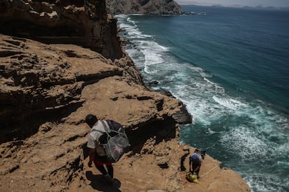 Reserva Nacional de Paracas