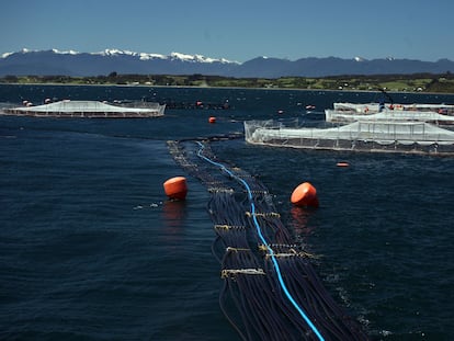 Una granja salmonera cerca de Puerto Montt, en una imagen de archivo.