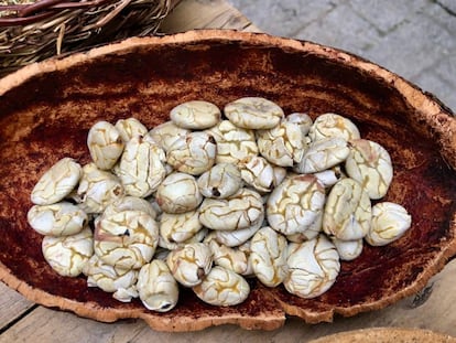 SEMILLAS DE MACAMBO TOSTADAS / CAPEL