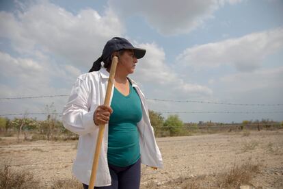 Dolores Bazaldúa en la búsqueda de su hija Debanhi en Nuevo León.