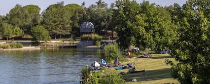 Varios aficionados pescan en la laguna de Maripascuala en el parque de Polvoranca.