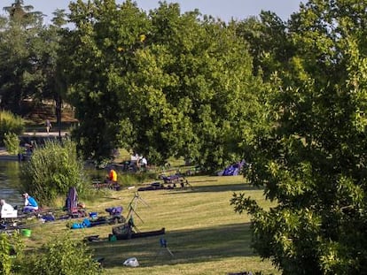 Varios aficionados pescan en la laguna de Maripascuala en el parque de Polvoranca.