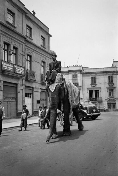 'Hombre montado en un elefante', de Juan Guzmán. Ciudad de México, 1942. Fundación Televisa.