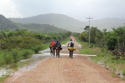 Campesinos transportan frutos de palma en la plantación de El Tumbador, en Honduras.