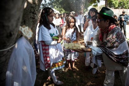 Cásate con un Árbol "es un compromiso con el medio ambiente, con la naturaleza, no se trata de solo sembrar un árbol y dejarlo, es un compromiso como un matrimonio, porque me comprometo a regarlo, a cuidarlo, a darle un buen crecimiento y a seguir sembrando", dijo Morales.